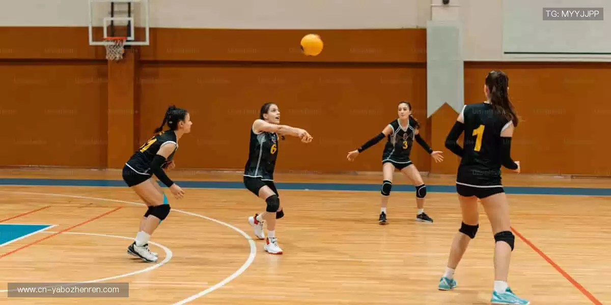 📱高清直播,随时随地掌控赛事!